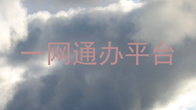 一网通办平台