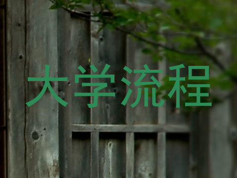 大学流程