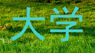 大学