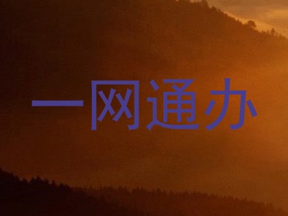 一网通办