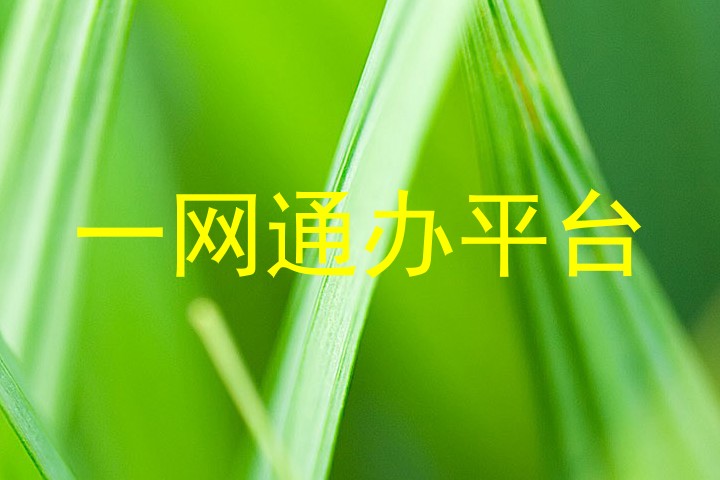 一网通办平台
