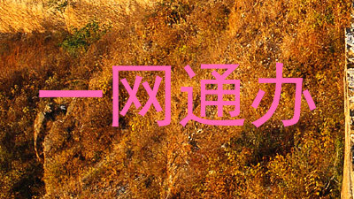 一网通办