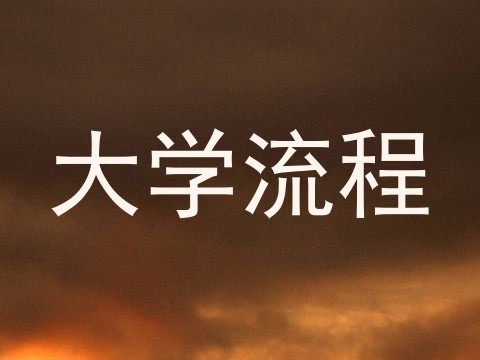 大学流程