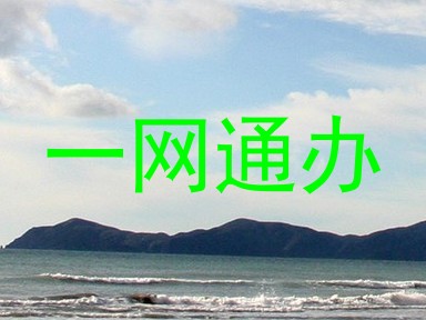 一网通办