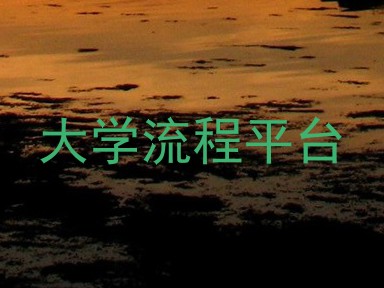 大学流程平台