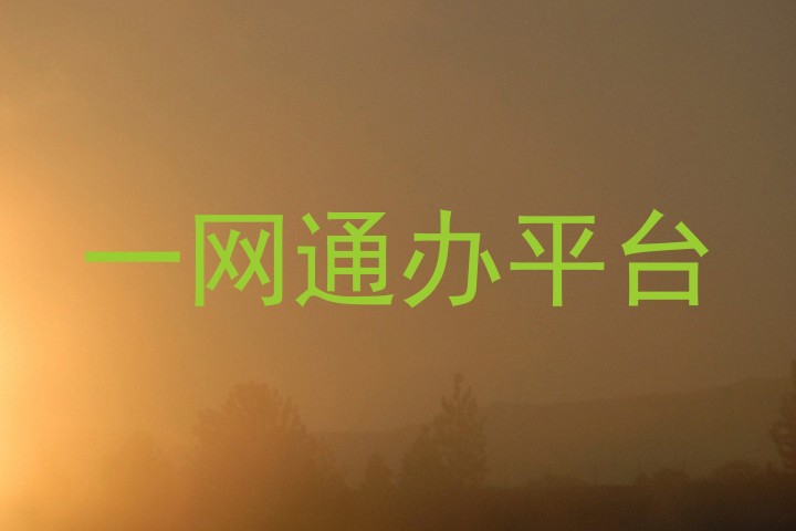 一网通办平台