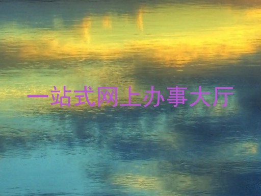 一站式网上办事大厅
