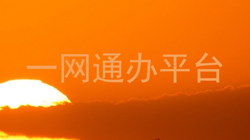 一网通办平台
