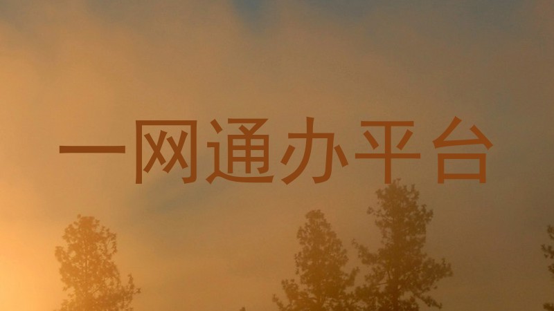 一网通办平台