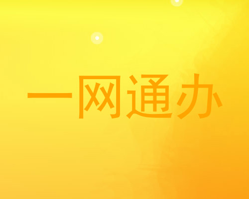 一网通办
