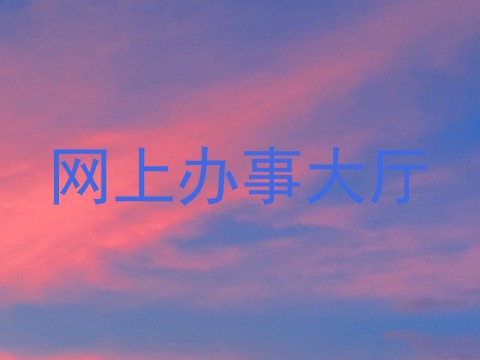 网上办事大厅