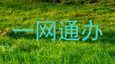 一网通办