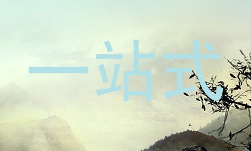 一站式