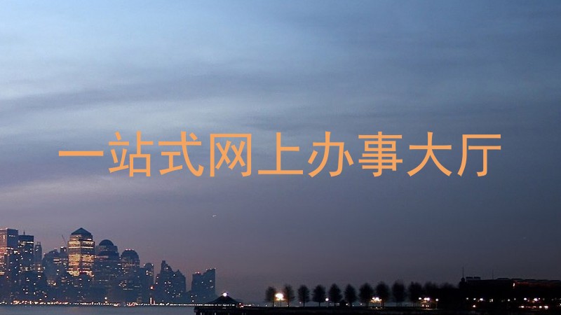 一站式网上办事大厅