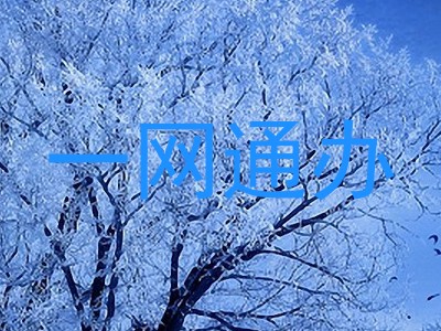 一网通办