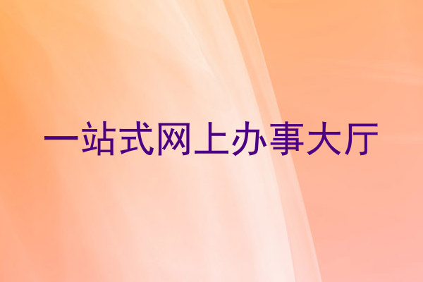 一站式网上办事大厅