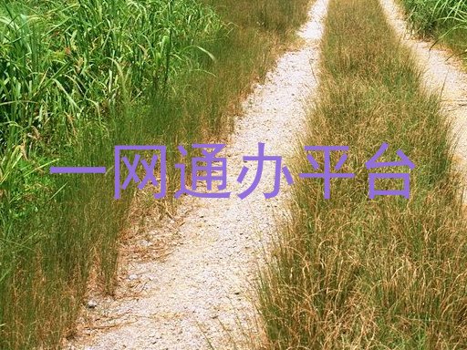 一网通办平台