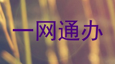 一网通办