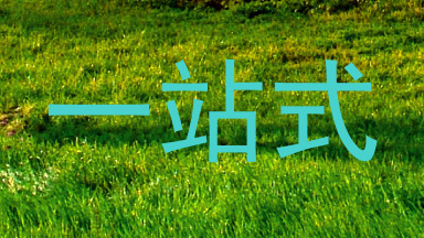 一站式