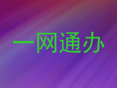一网通办