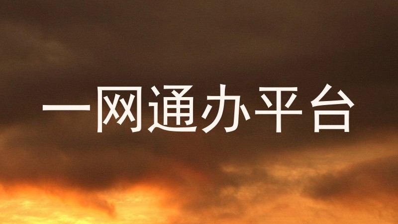 一网通办平台