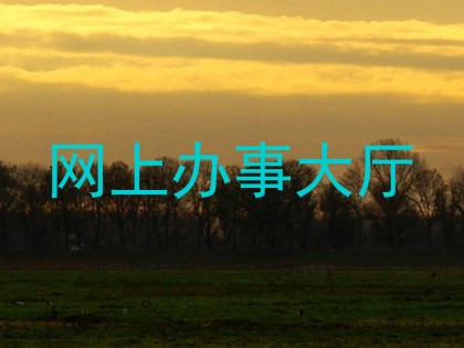 网上办事大厅