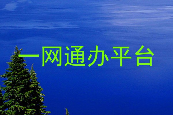 一网通办平台