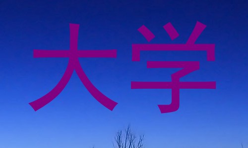 大学