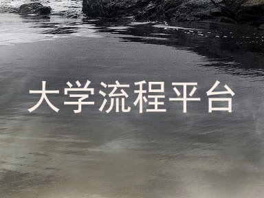 大学流程平台