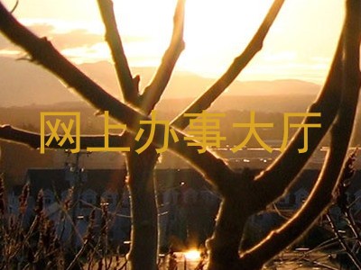 网上办事大厅