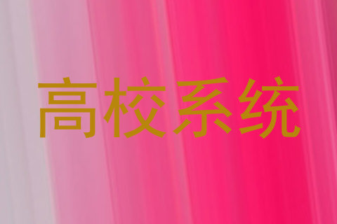 高校系统