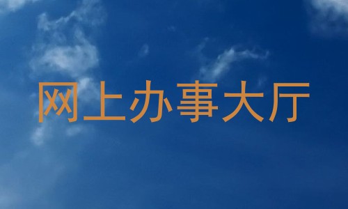 网上办事大厅