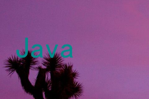 Java