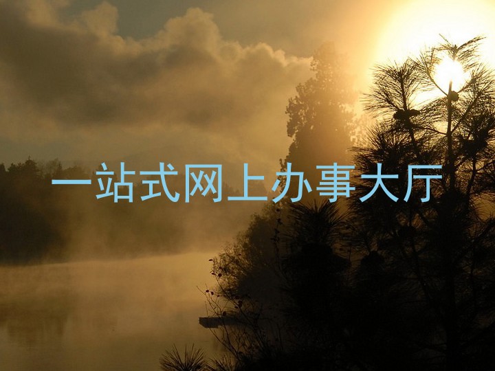 一站式网上办事大厅