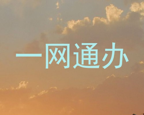 一网通办