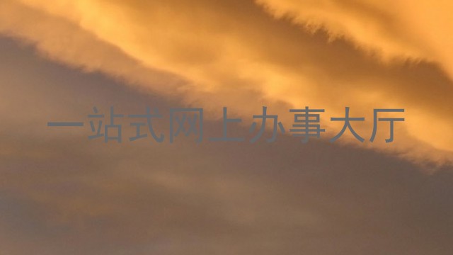 一站式网上办事大厅