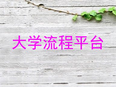 大学流程平台