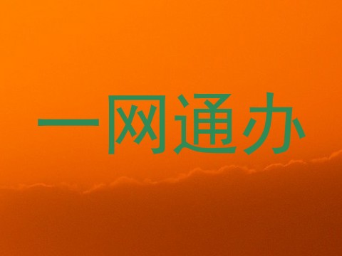 一网通办