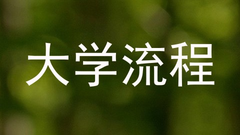 大学流程