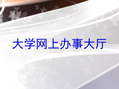 大学网上办事大厅