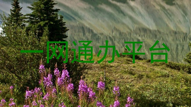 一网通办平台