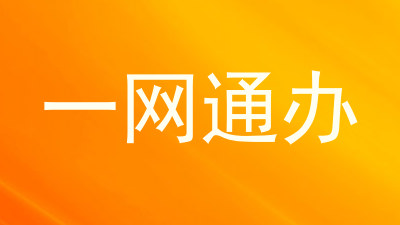 一网通办