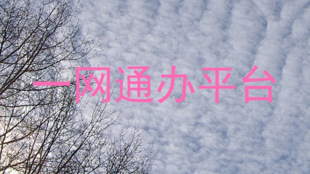 一网通办平台