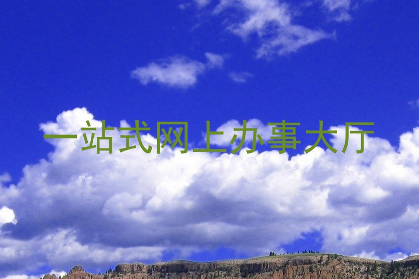 一站式网上办事大厅