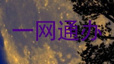 一网通办