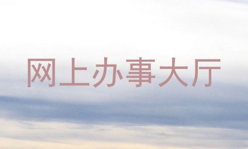 网上办事大厅