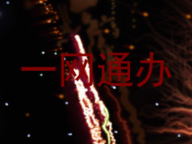 一网通办