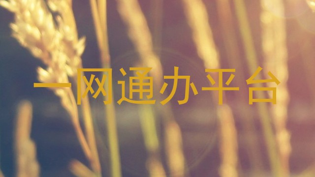 一网通办平台