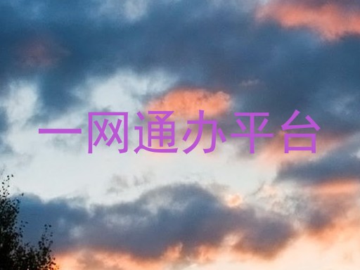 一网通办平台