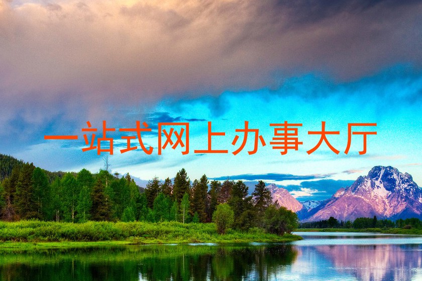 一站式网上办事大厅